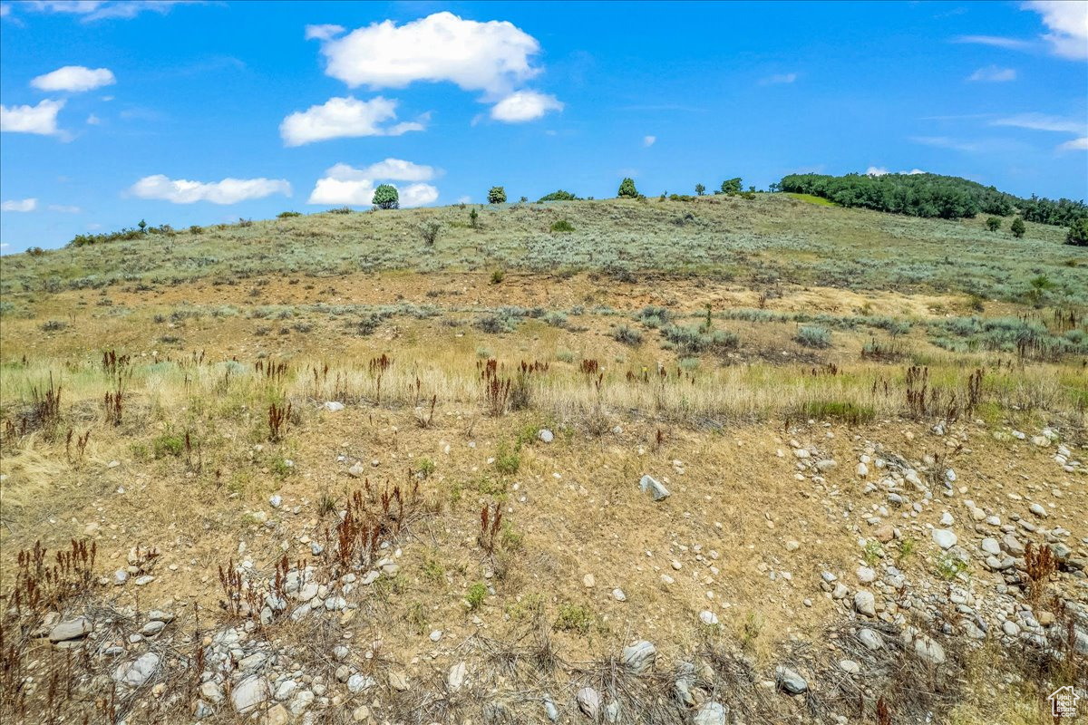 SNOWFLAKE SUBDIVISIO - Land