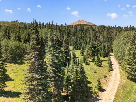 Tiny photo for 100 S FOREST ROAD 0242 #1 & 2, La Sal, UT 84530 (MLS # 2176838)