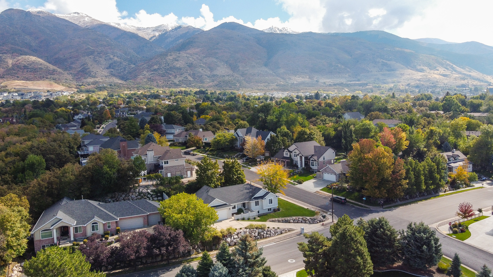 THORN-FIELD - Residential