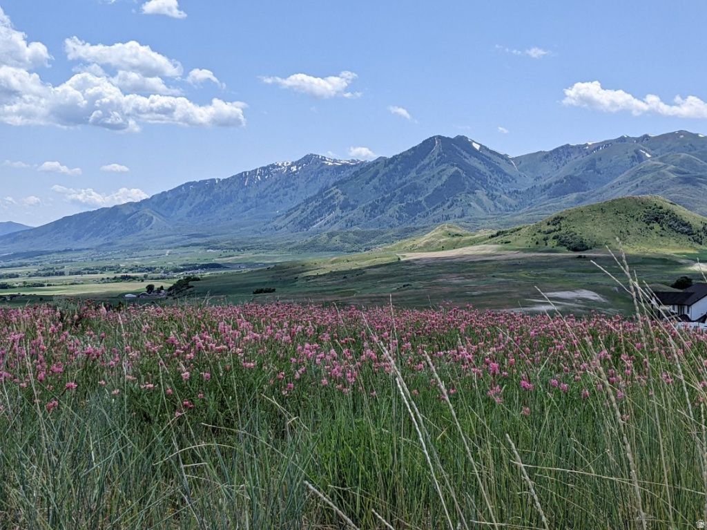 Photo of 2700 N VALLEY VW W, Petersboro, UT 84325 (MLS # 2140733)