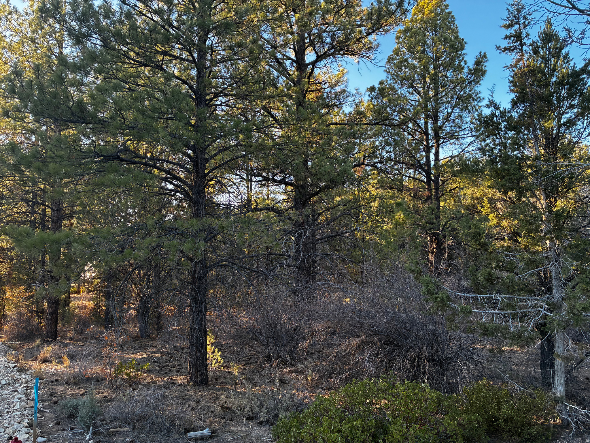 ALL OF LOT 9 BLOCK "D" AMENDED PLAT OF LITTLE POND - Land