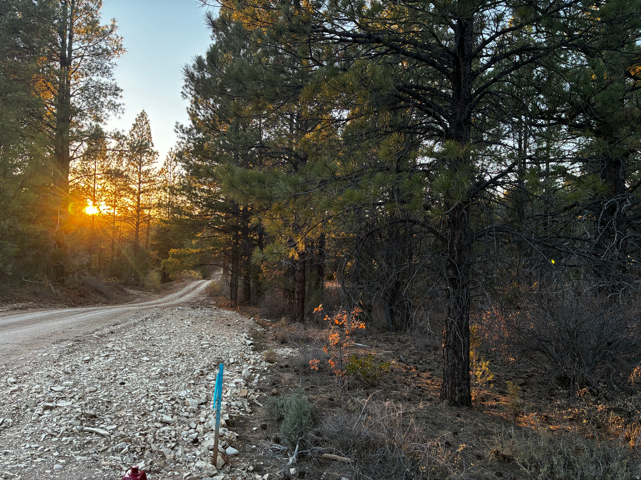 ALL OF LOT 9 BLOCK "D" AMENDED PLAT OF LITTLE POND - Land