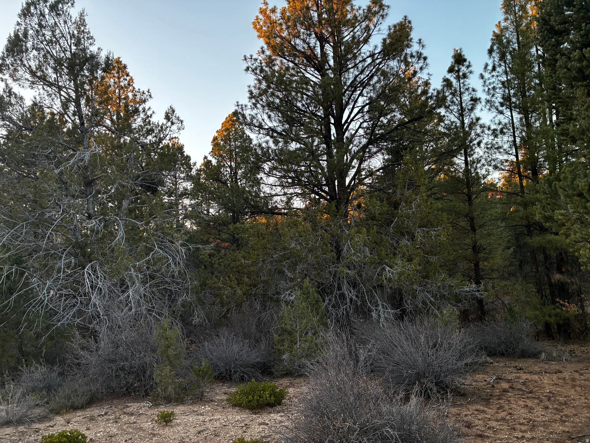 ALL OF LOT 9 BLOCK "D" AMENDED PLAT OF LITTLE POND - Land