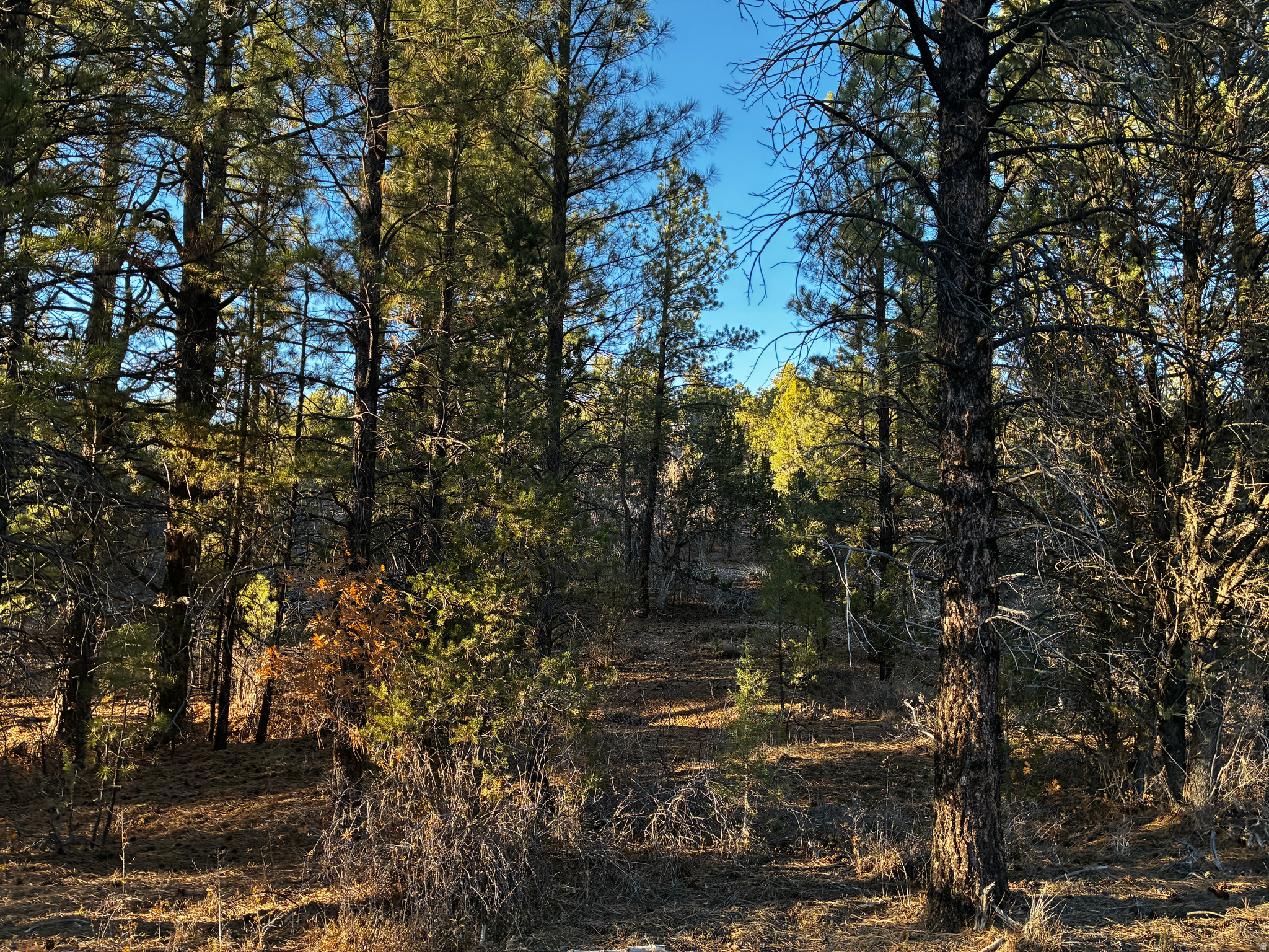 ALL OF LOT 9 BLOCK "D" AMENDED PLAT OF LITTLE POND - Land