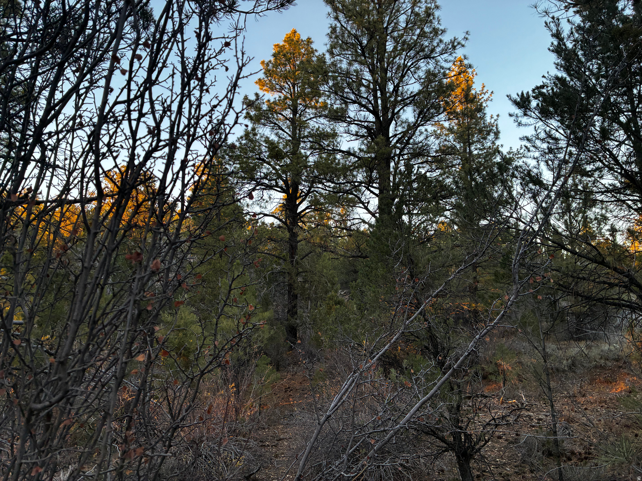 ALL OF LOT 9 BLOCK "D" AMENDED PLAT OF LITTLE POND - Land