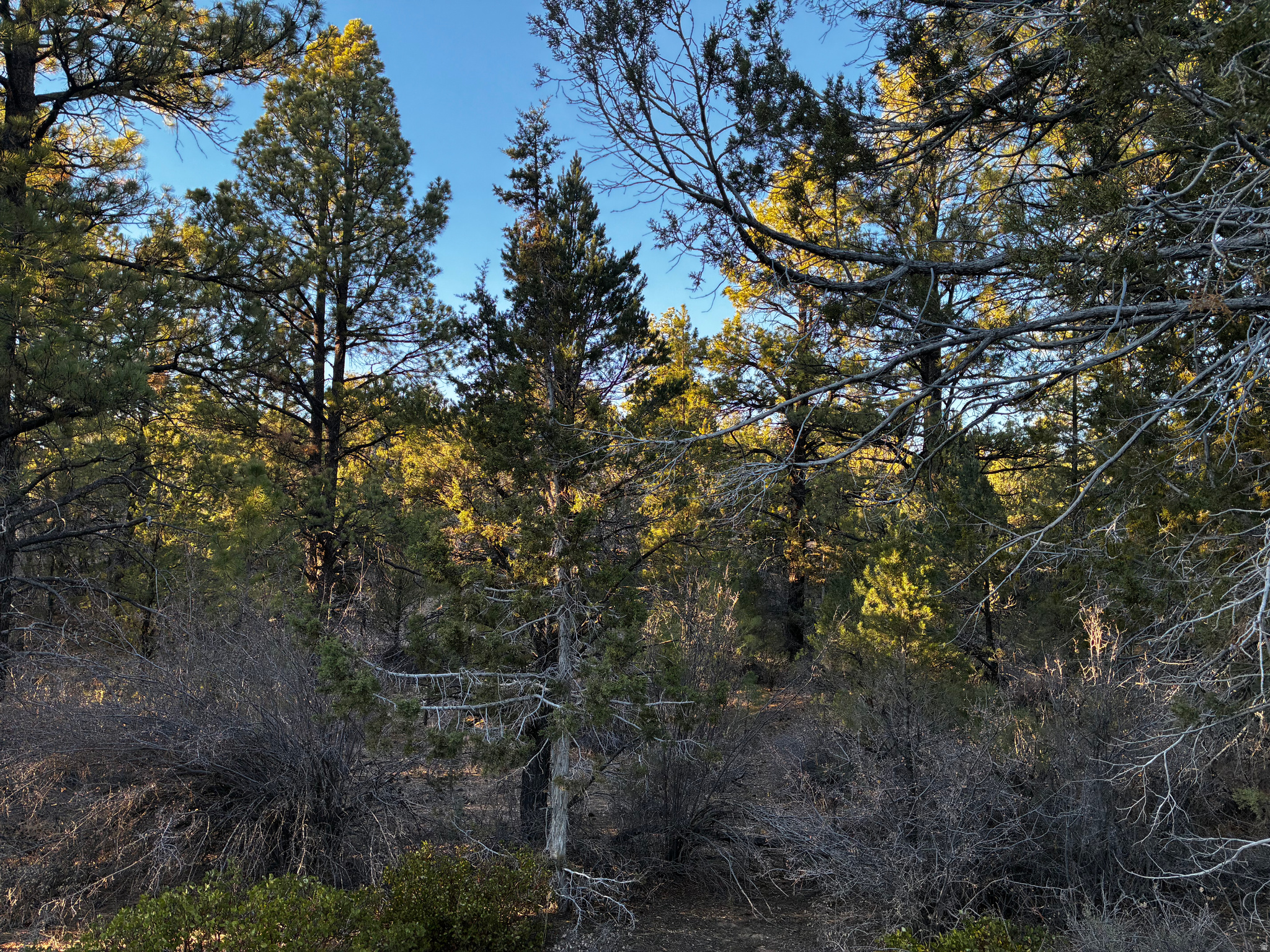 ALL OF LOT 9 BLOCK "D" AMENDED PLAT OF LITTLE POND - Land