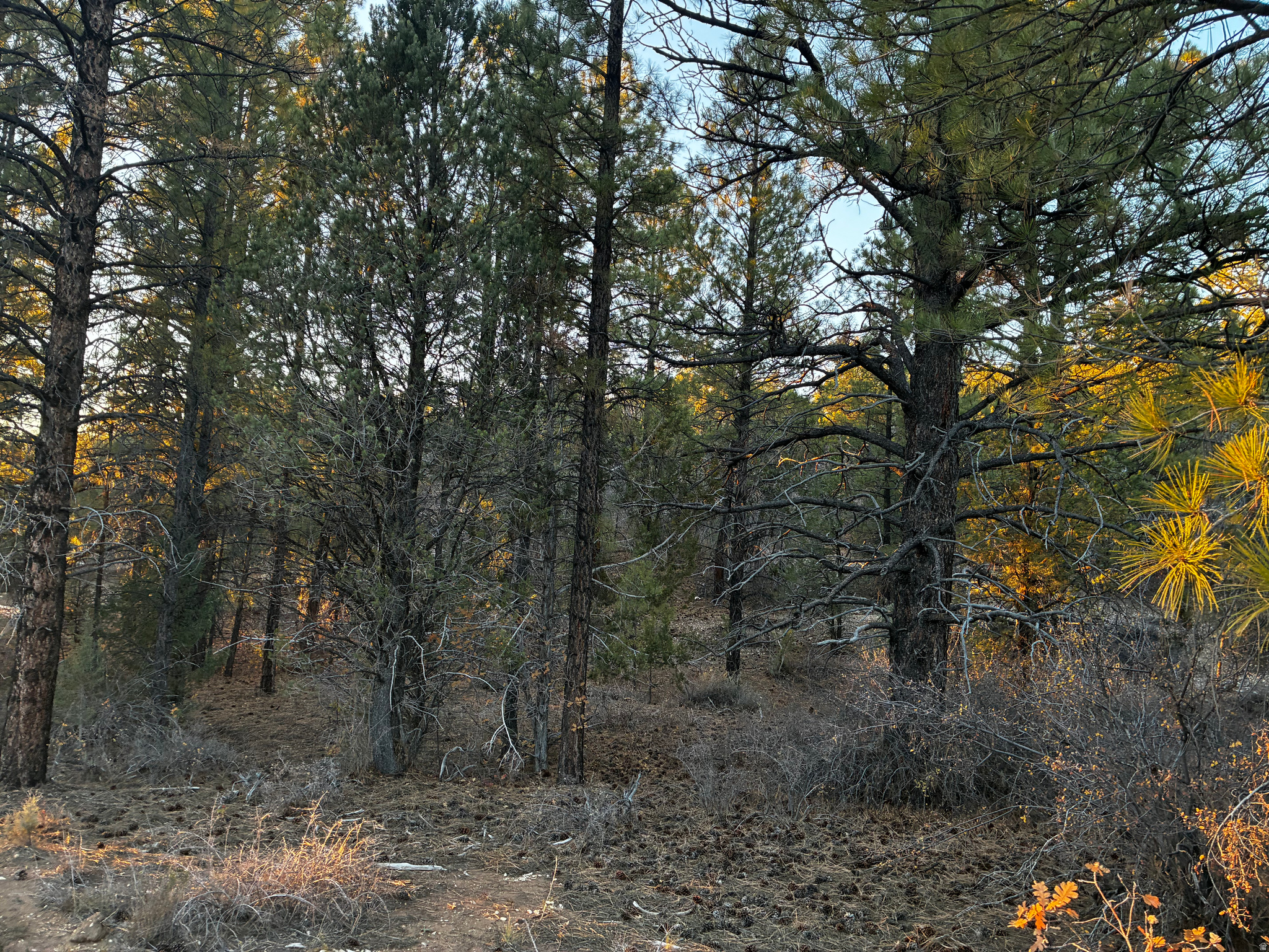 ALL OF LOT 9 BLOCK "D" AMENDED PLAT OF LITTLE POND - Land