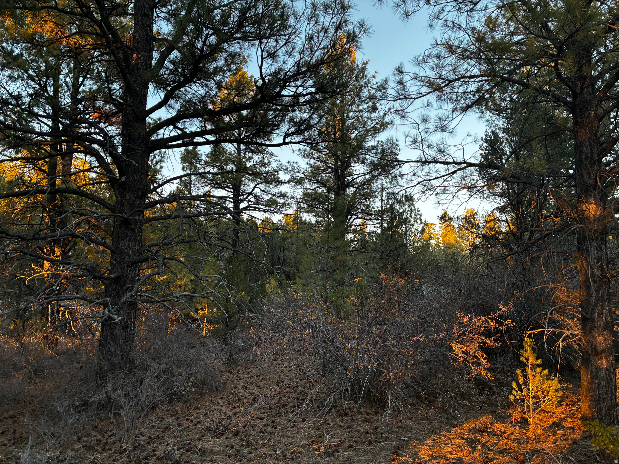 ALL OF LOT 9 BLOCK "D" AMENDED PLAT OF LITTLE POND - Land