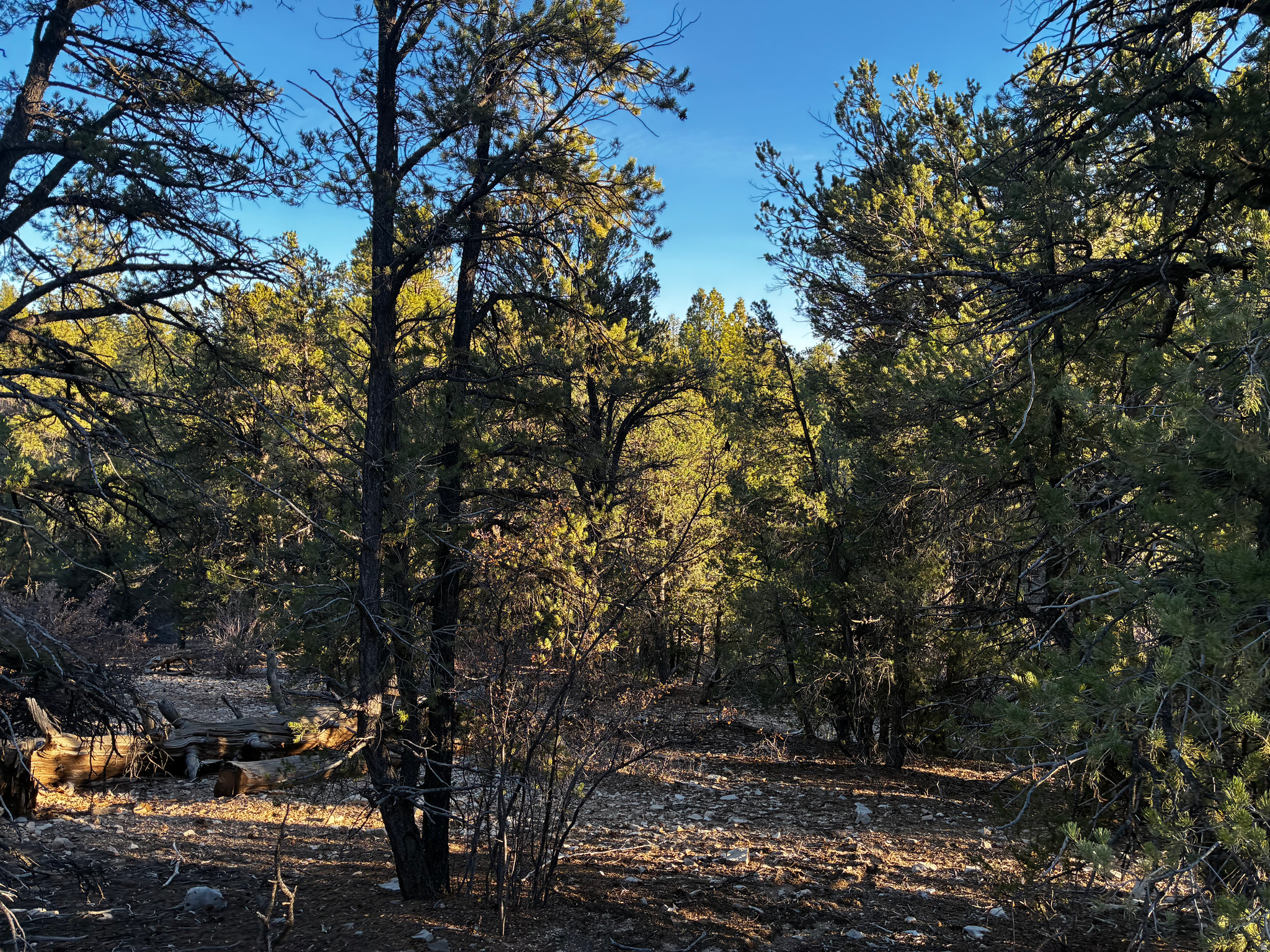 ALL OF LOT 9 BLOCK "D" AMENDED PLAT OF LITTLE POND - Land