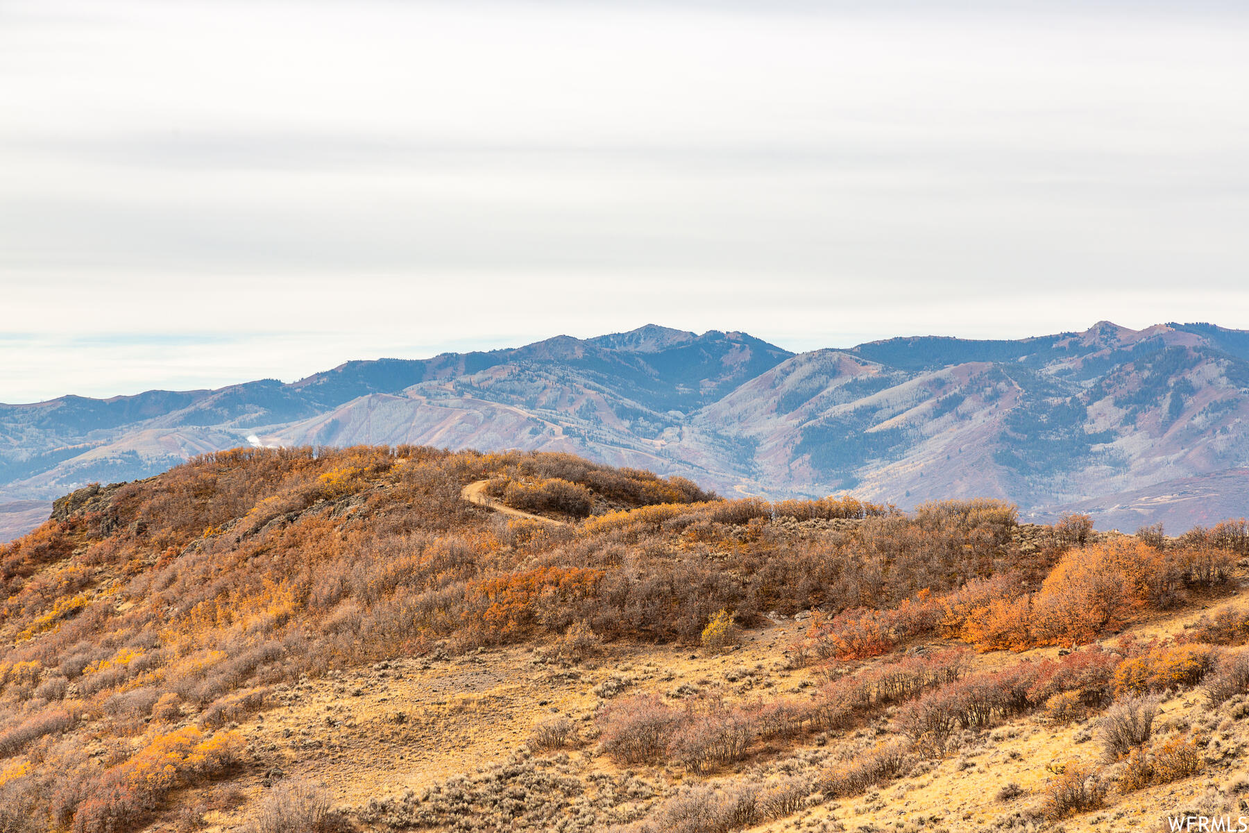 PINNACLE PORTFOLIO - Residential