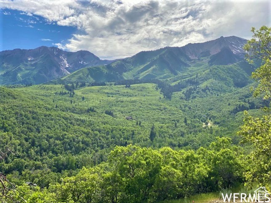 Remarks:  Beautiful Recreational Cabin Lot with 360-degree gorgeous views! Located in the highly sought-after Hobble Creek Canyon in the Upper Whittemore Mountain Home Development. On the property, you find a variety of trees, ferns & wildflowers. In this rare opportunity, you can own a lower lot in Upper Whittemore near electrical & telephone. There are so many outdoor recreational opportunities in the development and in the canyon by hiking, horseback riding, 4 wheelers or snowmobiles & fishing too! You will fall in love with this property! Don't miss out on the opportunity to own this lot and enjoy the incredible views, nature, wildlife, and complete serenity! Wonderful memories will be made for a lifetime in the great outdoors! Only 1 3/4 Miles from Canyon Road. Multiple lot purchases or bulk sales will be considered. Coordinates 40.24235,-111.48212