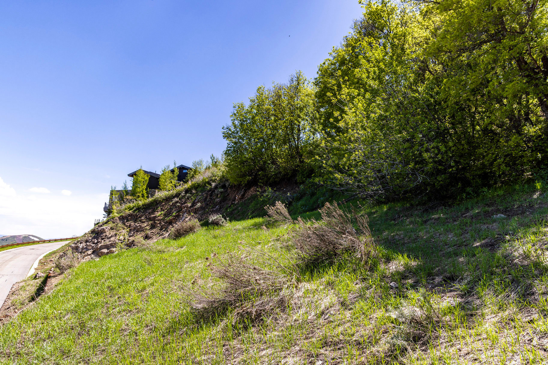 DEER CREST ESTATES - Land