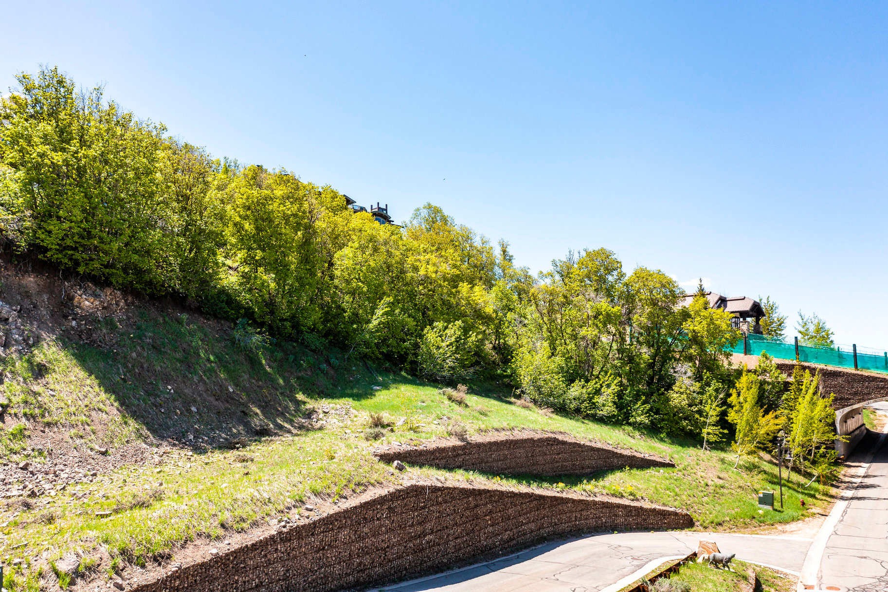 DEER CREST ESTATES - Land