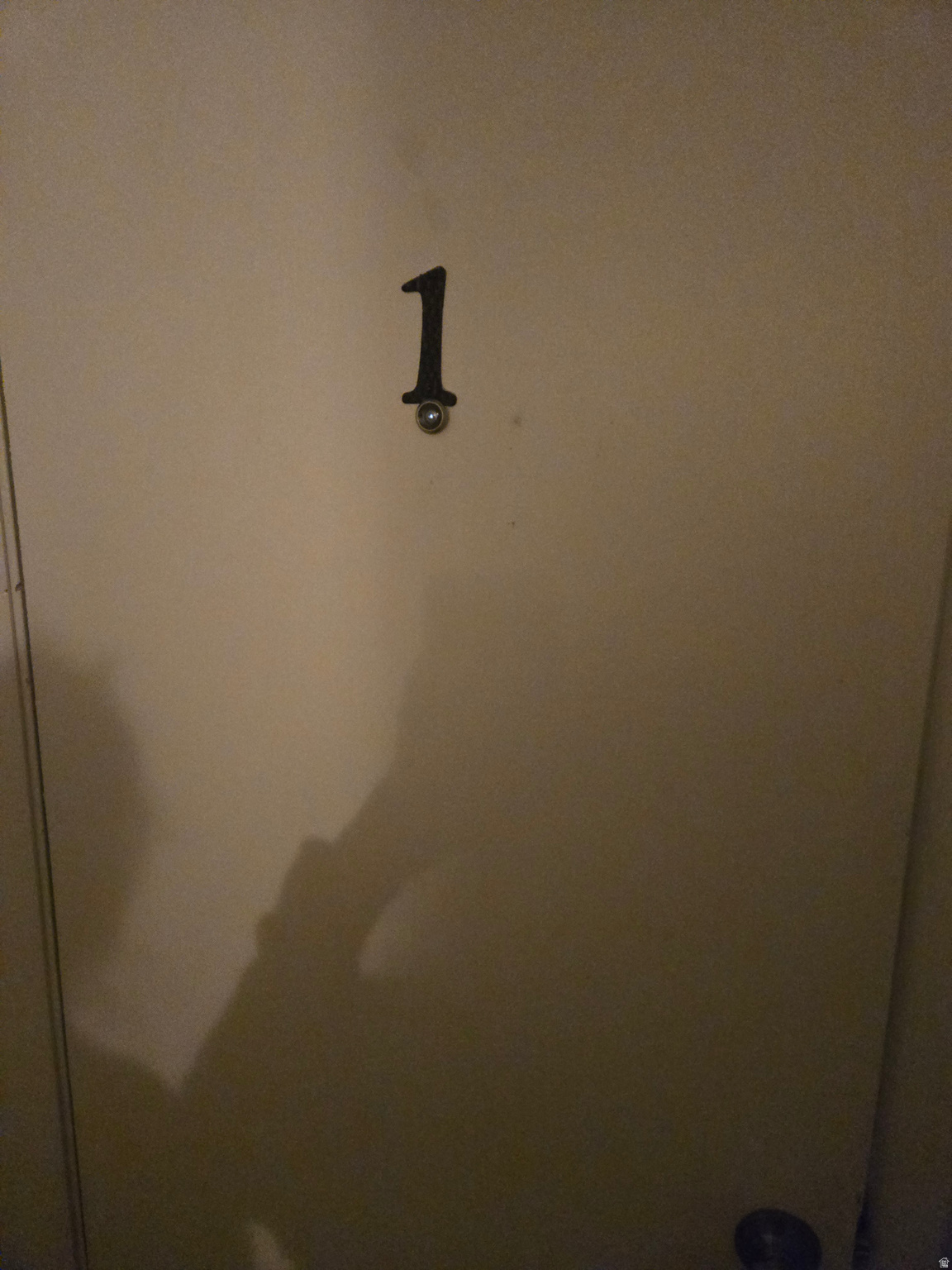 LOCAL SUREY - Residential Income