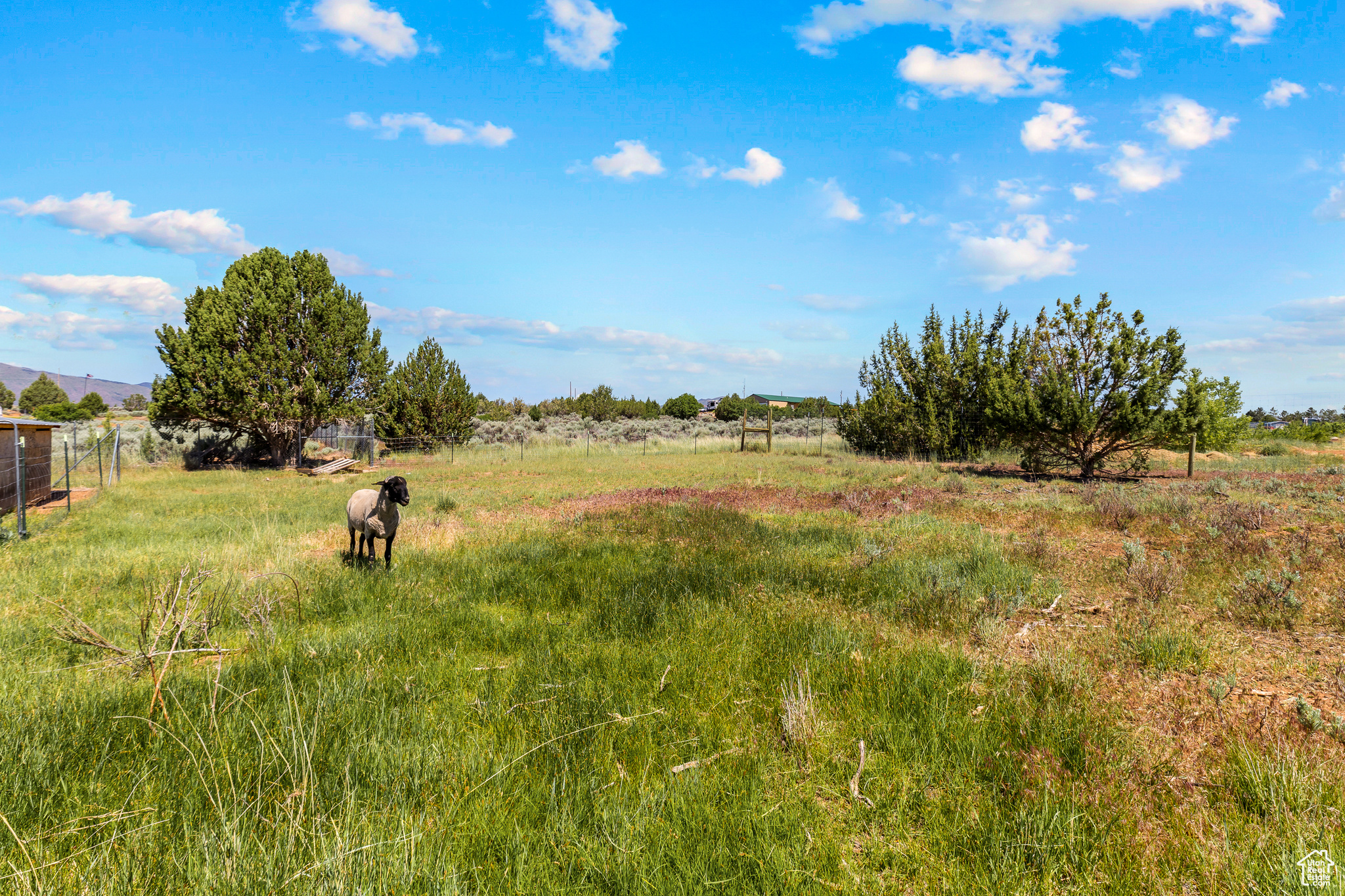 BLACKRIDGE RANCHES 1 - Residential