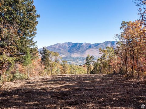 Vacant Land For Sale - 3980 E 1950<br/> Weber County, Eden, UT 84310