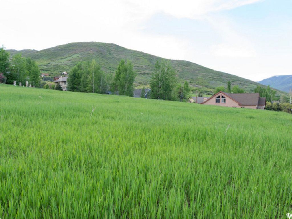 Photo of 335 N ALPENHOF CIR #18, Midway, UT 84049 (MLS # 2134243)