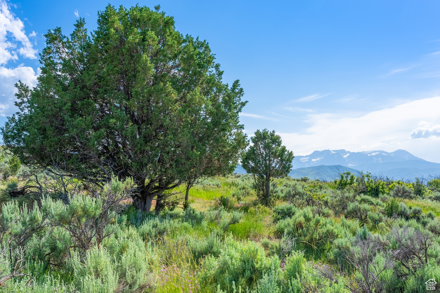 BLUE SAGE RANCH - Land