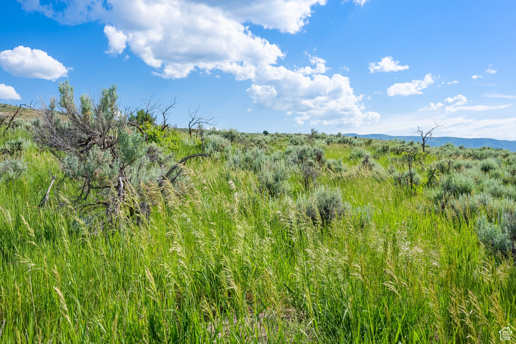 BLUE SAGE RANCH - Land