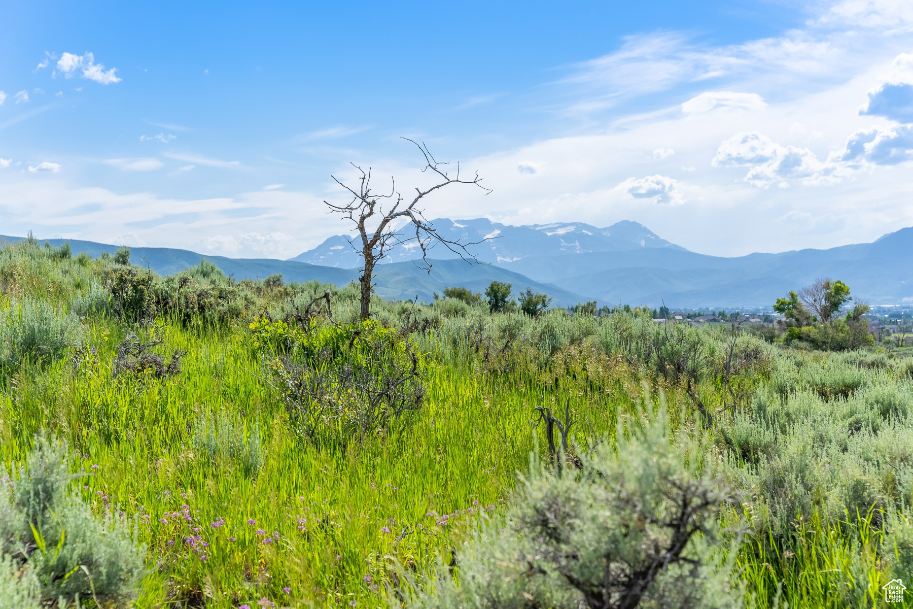 BLUE SAGE RANCH - Land