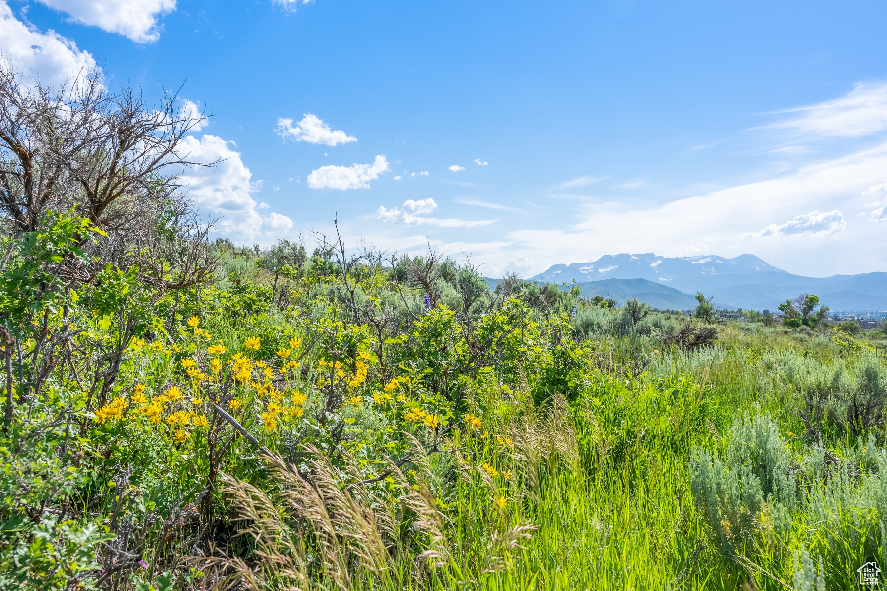 BLUE SAGE RANCH - Land