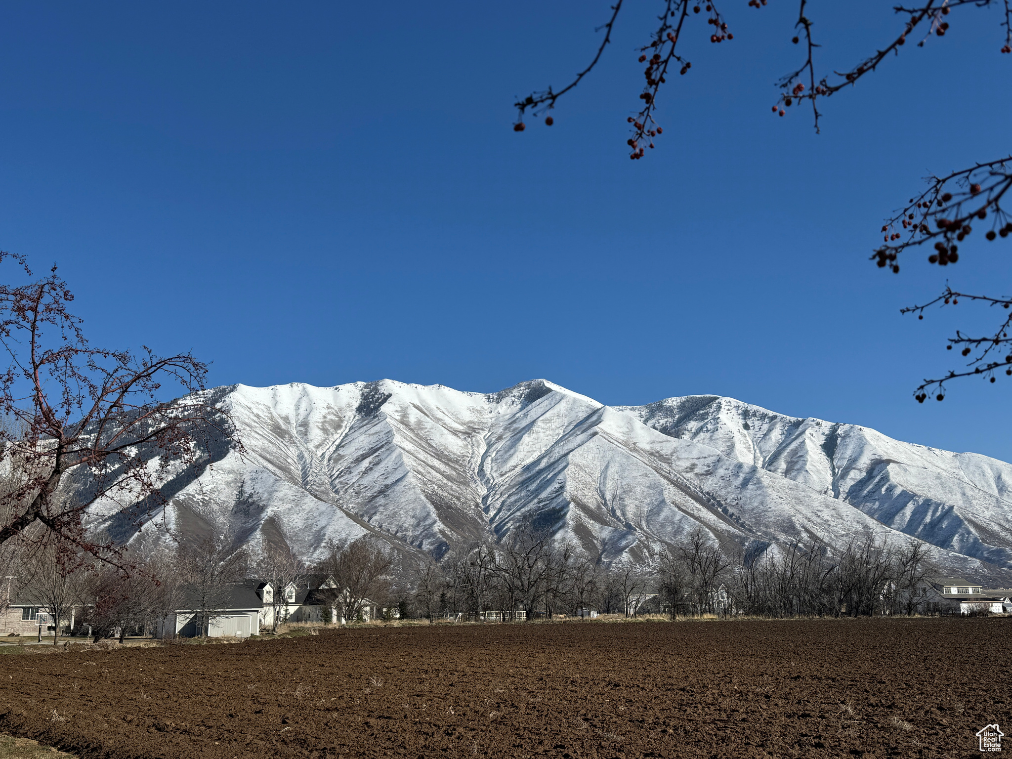 1200 W Maple St, Mapleton, Utah image 18