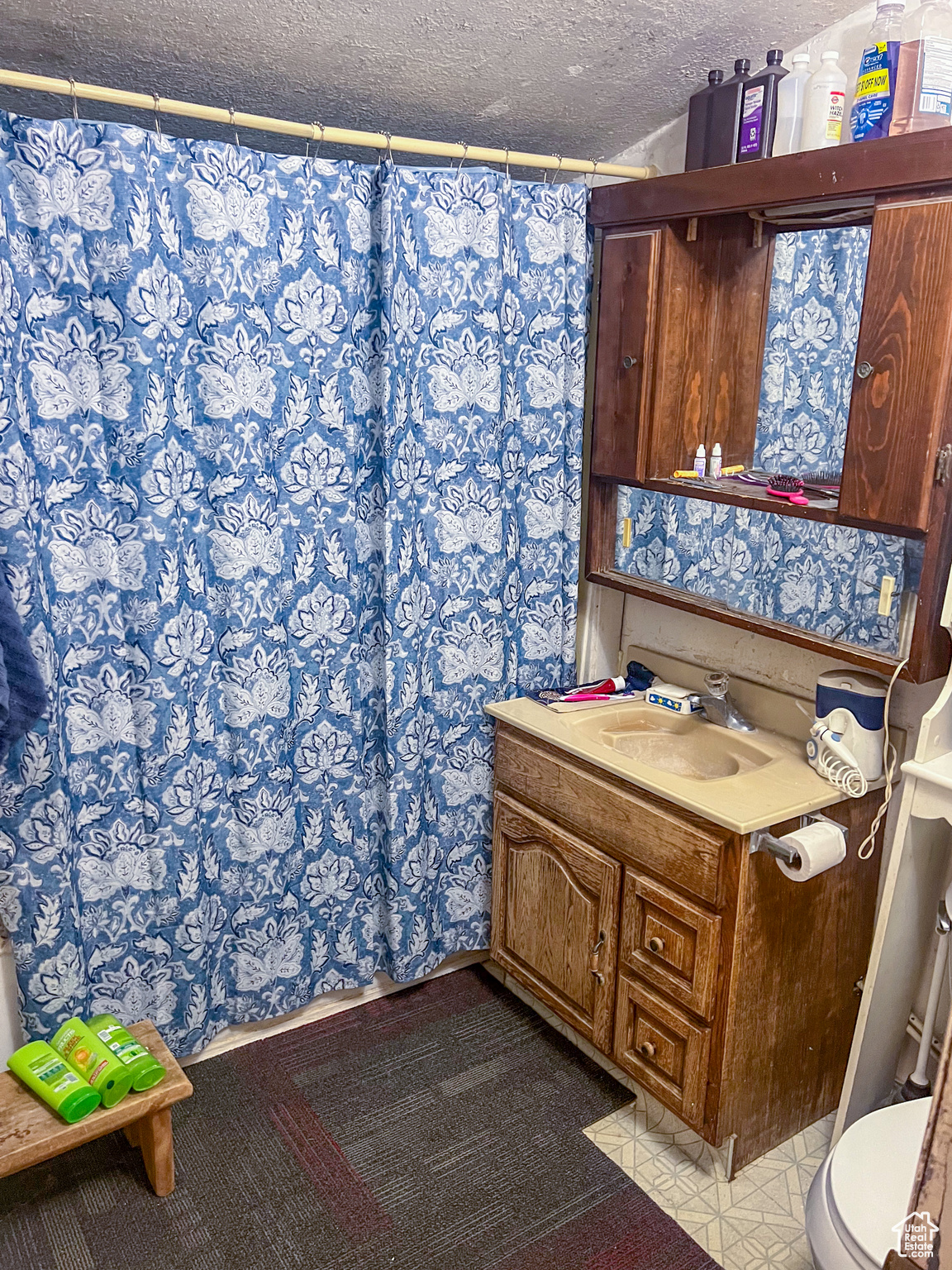 1200 W Maple St, Mapleton, Utah image 17