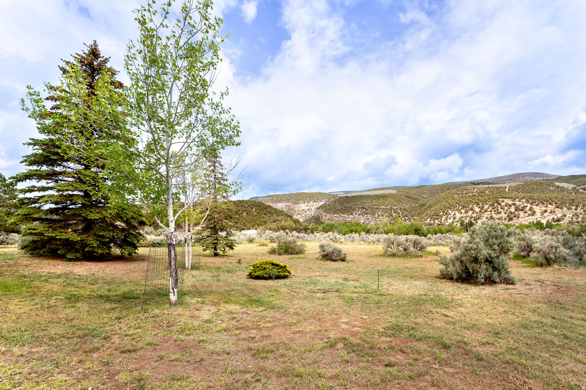 SAWTOOTH PARK PUD SUB - Residential
