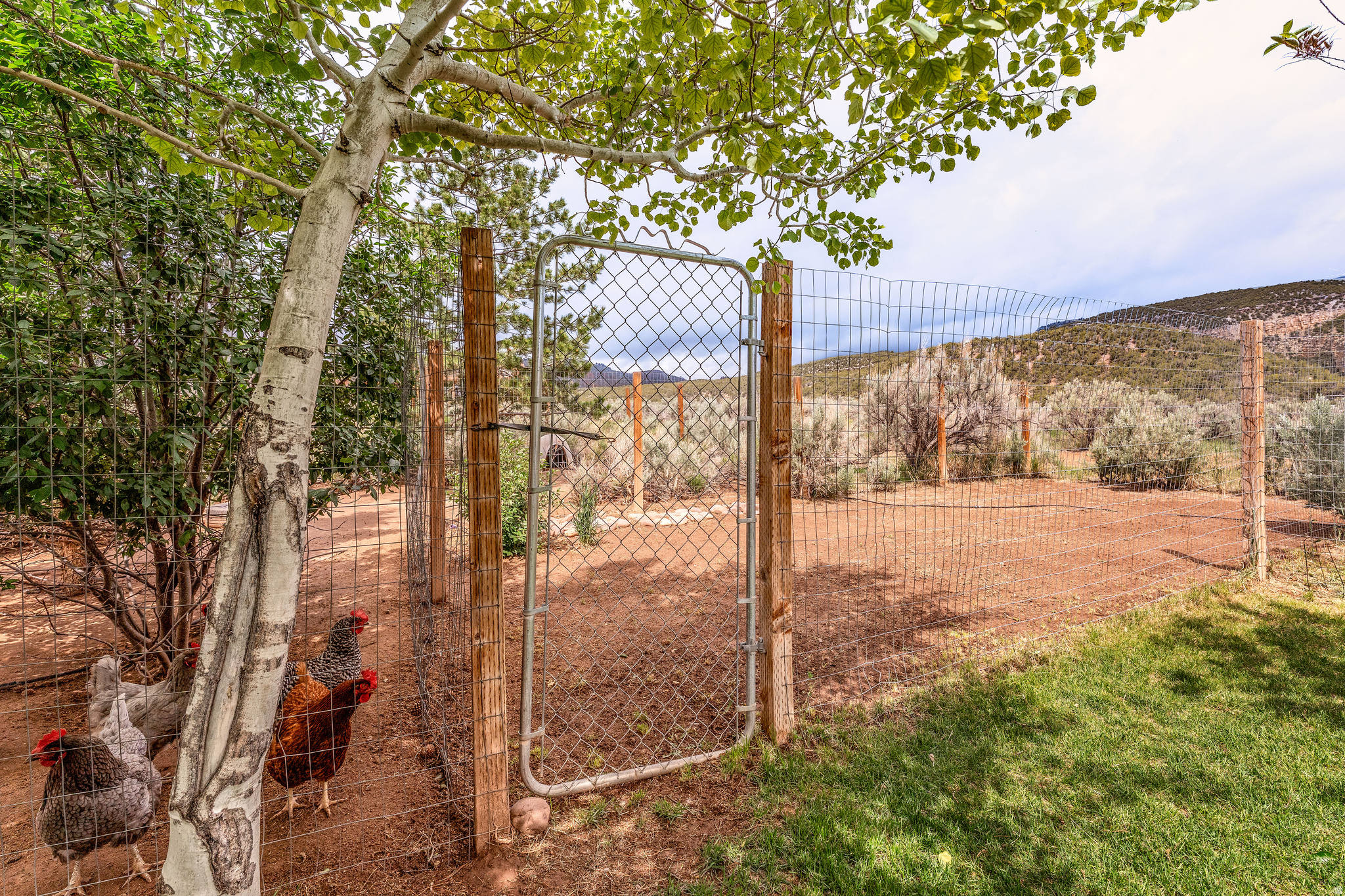 SAWTOOTH PARK PUD SUB - Residential