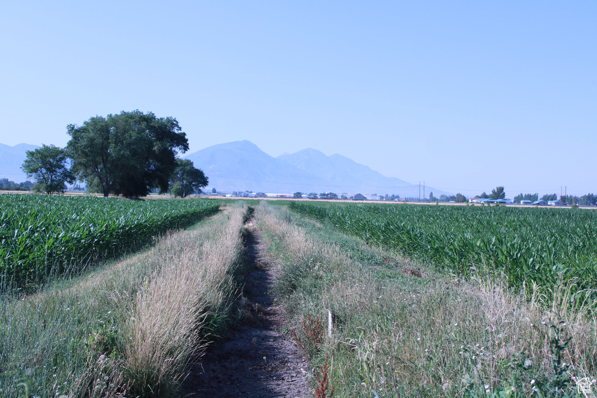 Land, Spanish Fork, Utah image 8