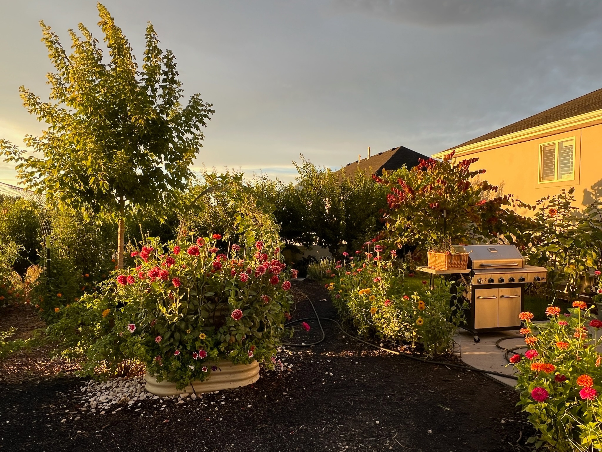 RED CLIFF ESTATES SUBDIVISION - Residential