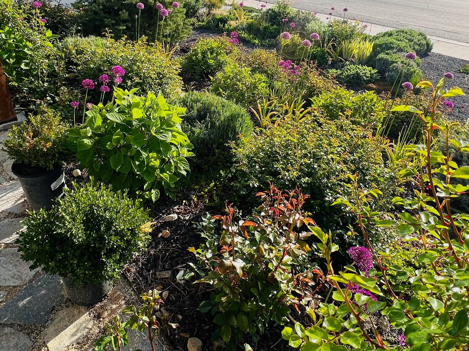 RED CLIFF ESTATES SUBDIVISION - Residential