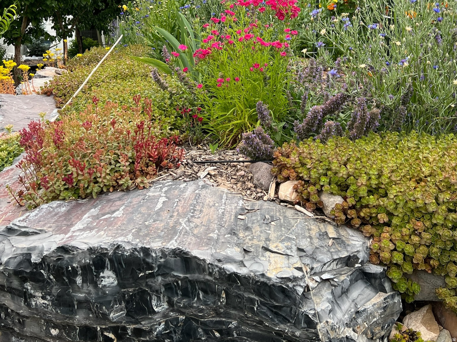 RED CLIFF ESTATES SUBDIVISION - Residential