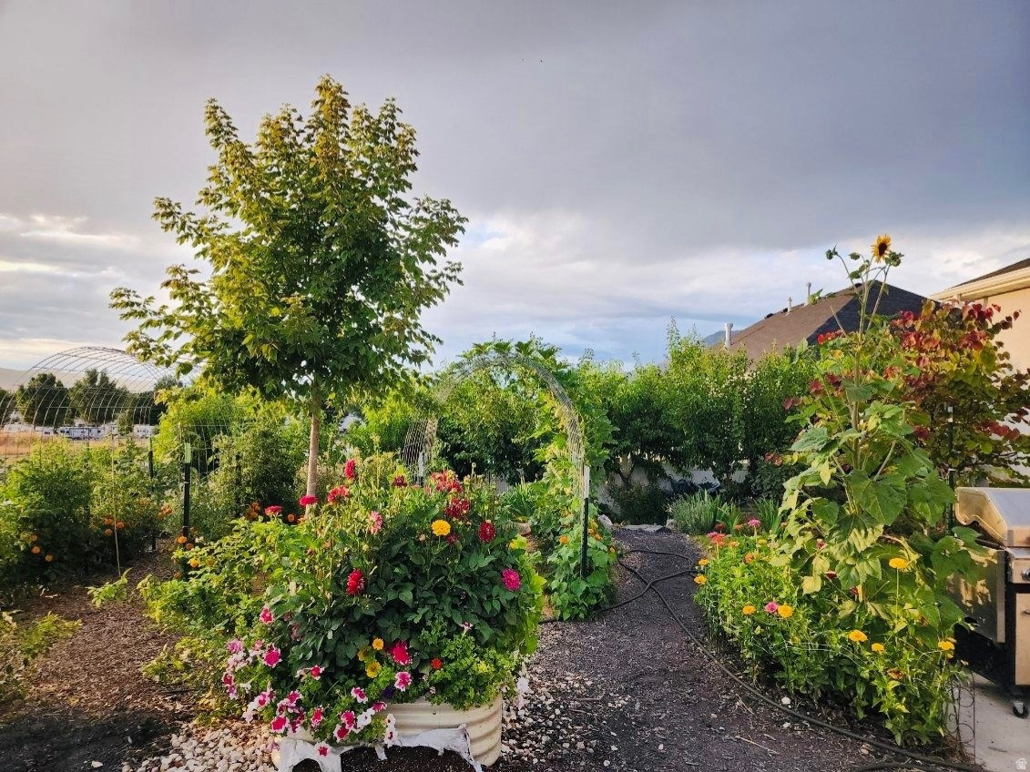 RED CLIFF ESTATES SUBDIVISION - Residential