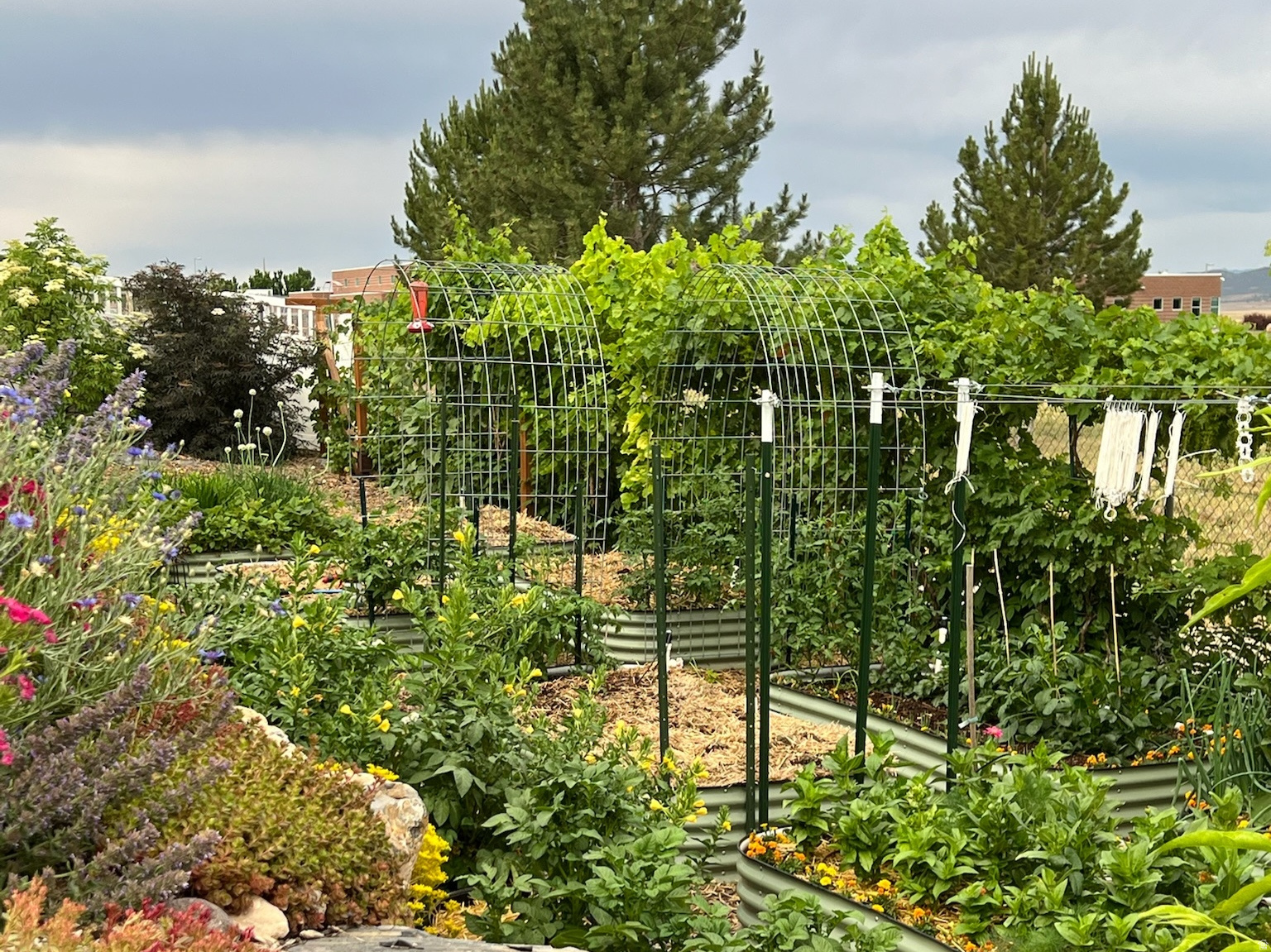 RED CLIFF ESTATES SUBDIVISION - Residential