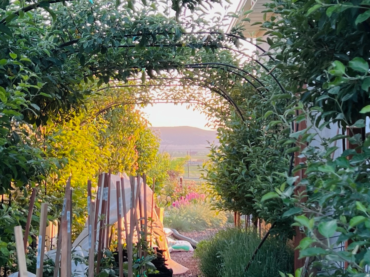 RED CLIFF ESTATES SUBDIVISION - Residential