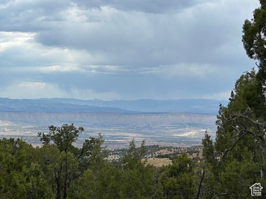 160 acres of Private hunting land. Its approx. 13 miles south of Hwy 40 and Starvation Reservoir, adjoining thousands of acres of public land. Sits near the top of the mountain, with amazing views of the Uintah Basin below. Covered with thick pinion-pines and juniper trees. This is a very secluded area, with bear, mountain lions, bobcats, deer and elk. There are no utilities and access is seasonal.