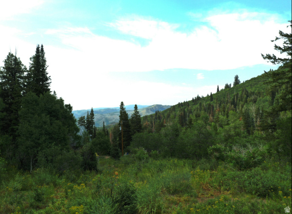 CAUSEY ESTATES - Land