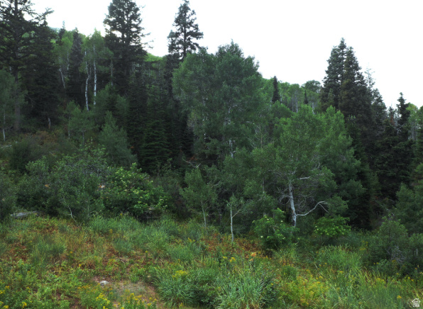 CAUSEY ESTATES - Land