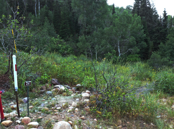 CAUSEY ESTATES - Land