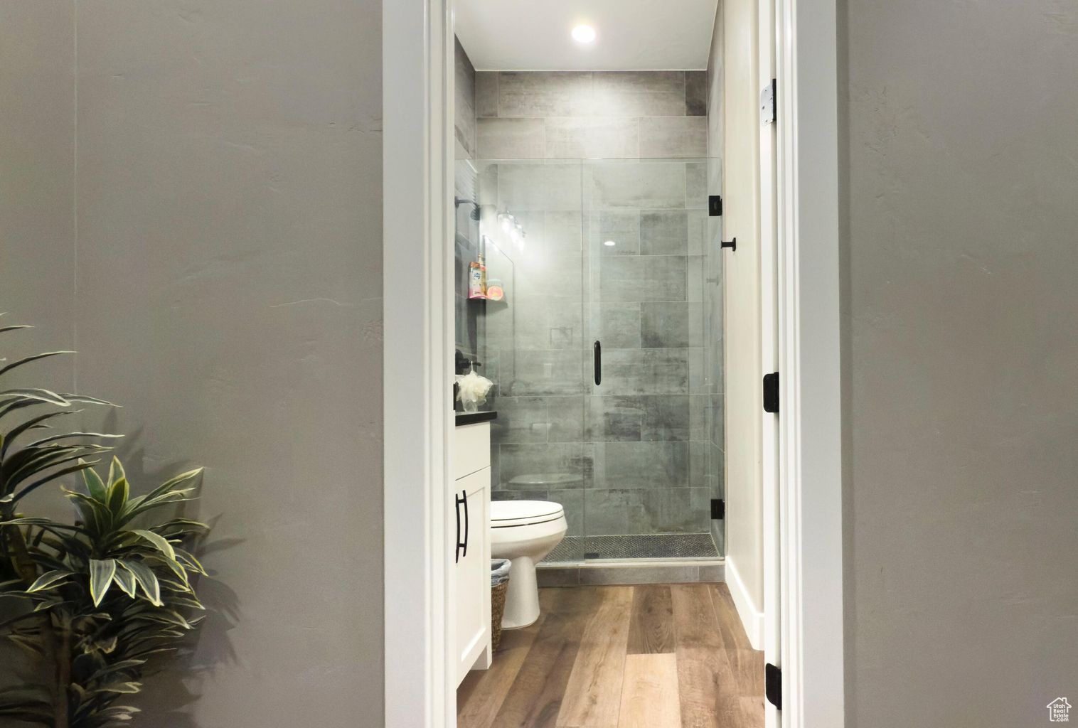 VIEWS AT CORAL CANYON - Residential