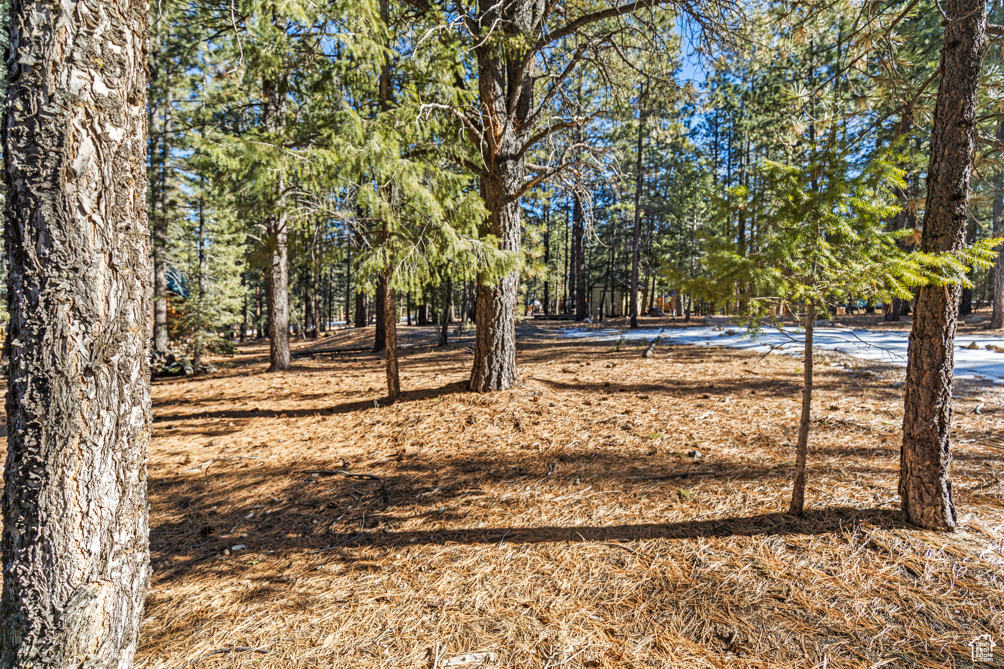 1275 N Piute Dr #641, Duck Creek Village, Utah image 6