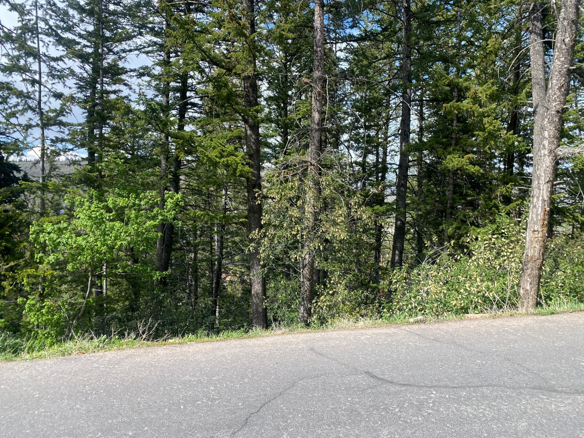 Enjoy privacy, fresh mountain air, and year-round recreation just minutes from Park City's world-class amenities.