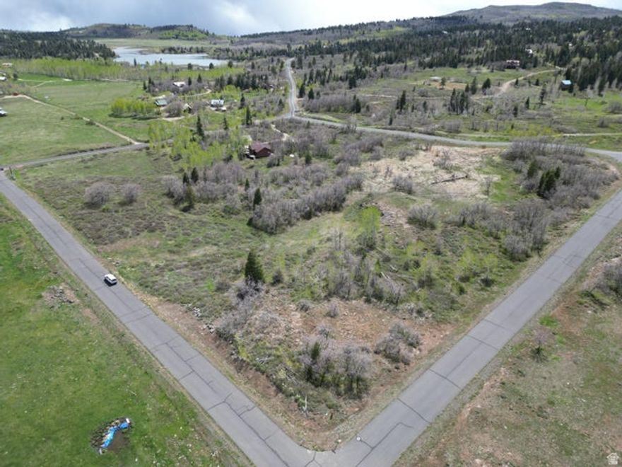 Beautiful mountain lot. This corner lot has views of the large water conservancy district meadow. Listing information deemed reliable, buyer to verify.