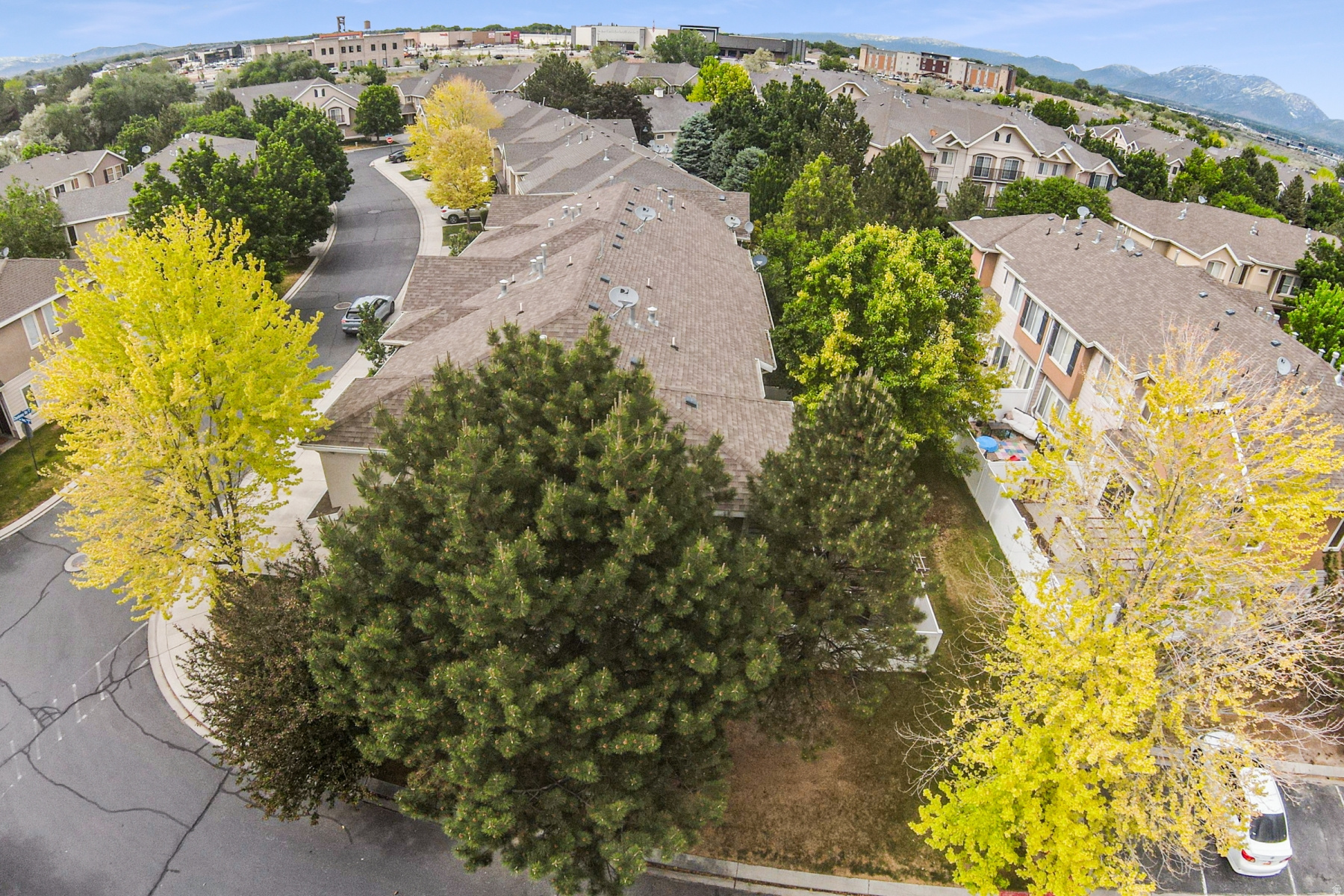 VINTAGE ON THE BLUFFS - Residential