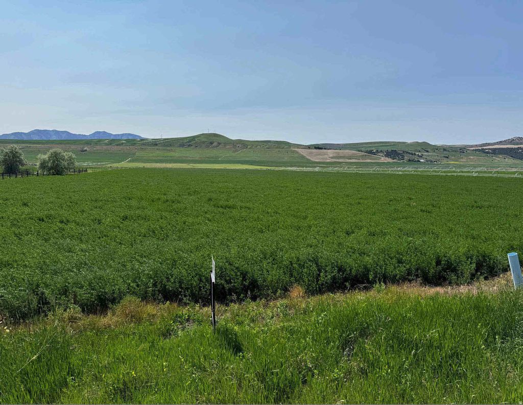 Photo of 1225 N HWY 23 HWY W, Trenton, UT 84338 (MLS # 2127931)