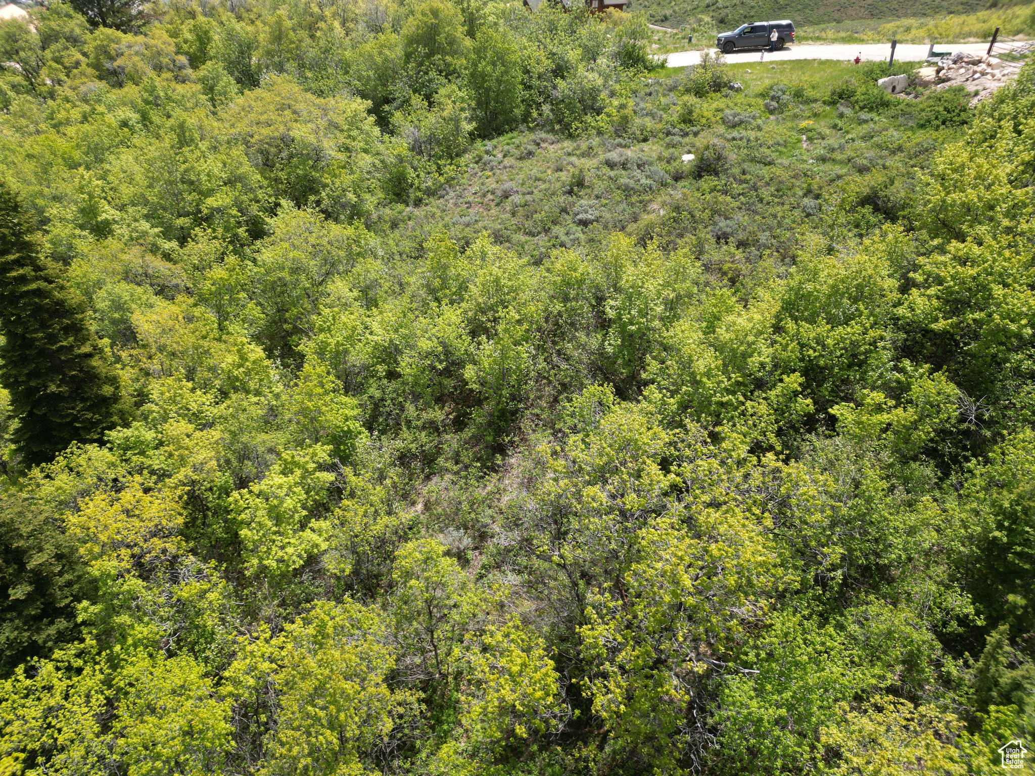 256 Juniper Dr #488/89, Fish Haven, Idaho image 6