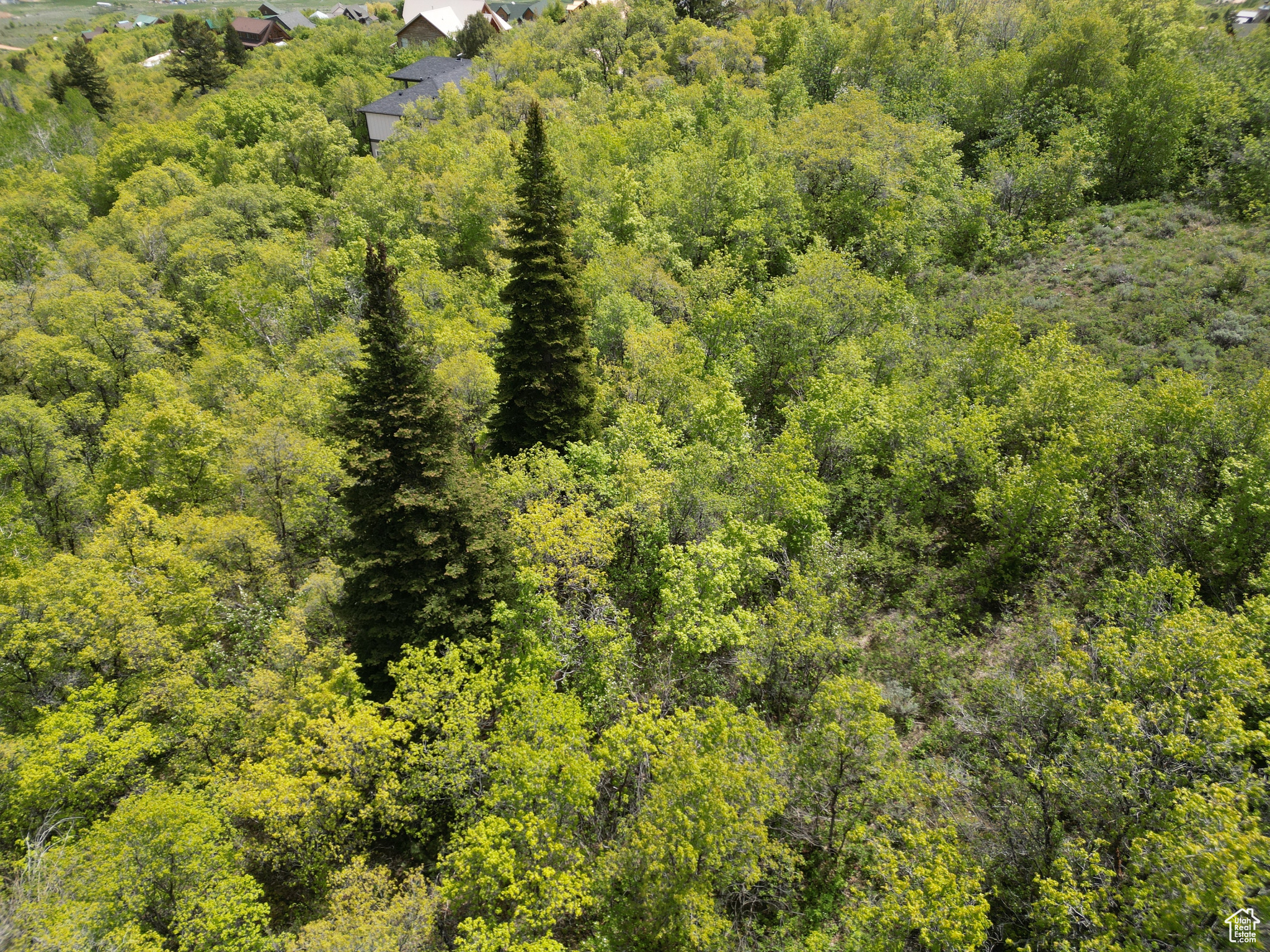 256 Juniper Dr #488/89, Fish Haven, Idaho image 3