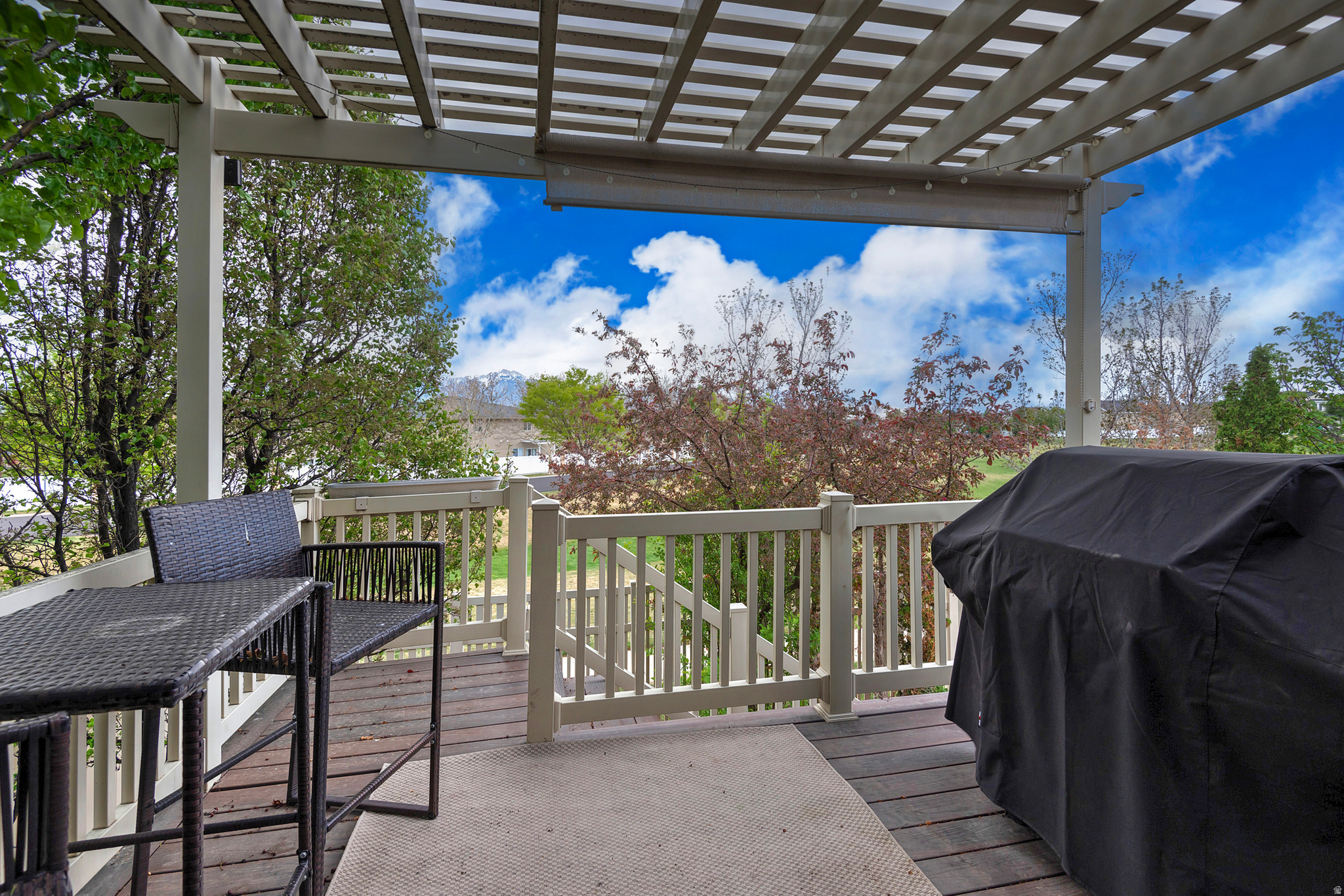 WESTERN SPRINGS - Residential