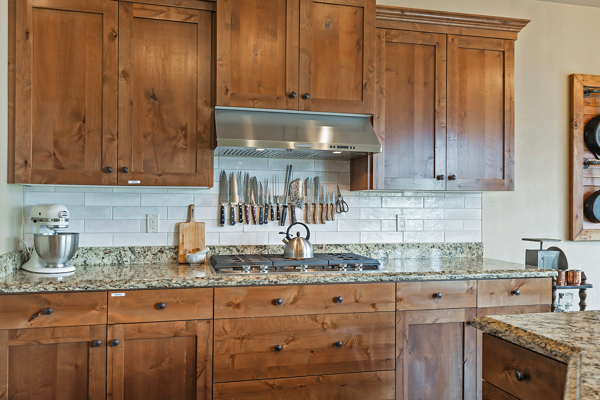 WESTERN SPRINGS - Residential